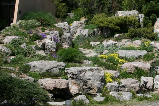what-to-plant-in-a-rock-garden-67_2 Какво да засадят в алпинеума
