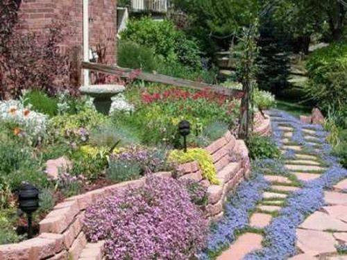 what-to-plant-in-a-rock-garden-67_5 Какво да засадят в алпинеума