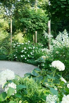 white-garden-design-94_4 Бяла градина дизайн