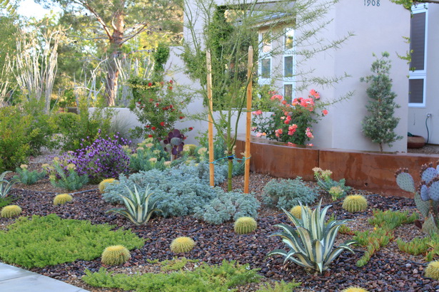 xeriscaping-backyard-landscaping-ideas-33_10 Ксерискапинг задния двор озеленяване идеи