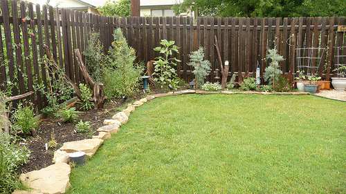 xeriscaping-backyard-landscaping-ideas-33_18 Ксерискапинг задния двор озеленяване идеи