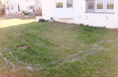 yard-by-yard-landscaping-65 Двор по двор озеленяване