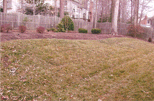 yard-by-yard-landscaping-65_3 Двор по двор озеленяване