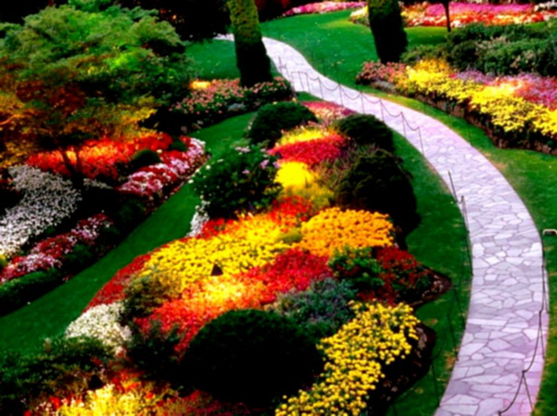 yard-flowers-landscaping-89_8 Двор Цветя озеленяване