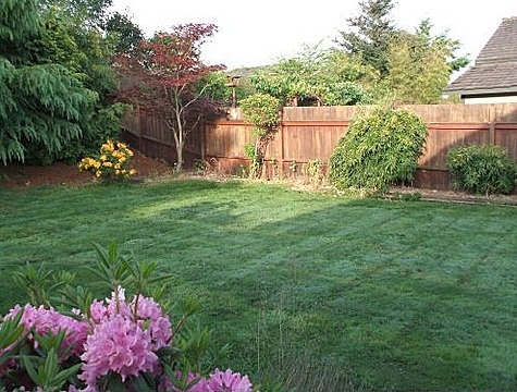 backyard-simple-landscaping-ideas-37_13 Заден двор прости идеи за озеленяване