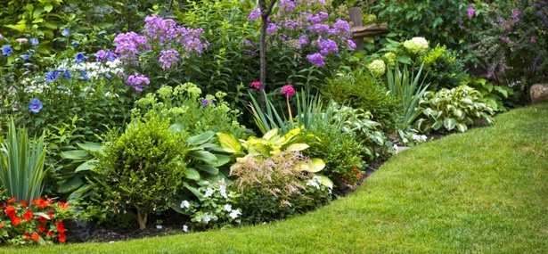 best-low-maintenance-garden-plants-94_19 Най-добрите градински растения с ниска поддръжка