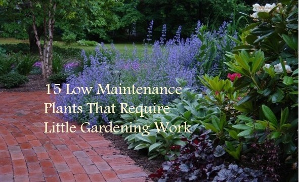 best-low-maintenance-landscaping-03_17 Най-добро озеленяване с ниска поддръжка