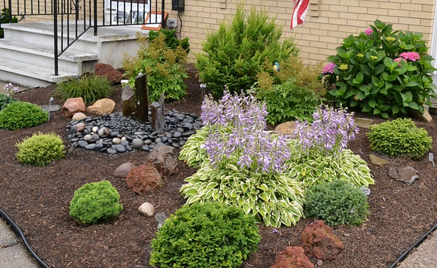 best-low-maintenance-shrubs-for-front-of-house-50 Най-добрите ниски поддръжка храсти за предната част на къщата