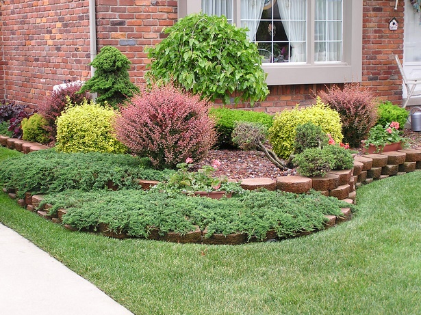 best-low-maintenance-shrubs-for-front-of-house-50_11 Най-добрите ниски поддръжка храсти за предната част на къщата