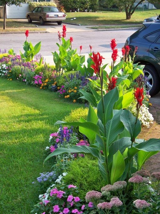 best-plants-along-driveway-54_7 Най-добрите растения по алеята