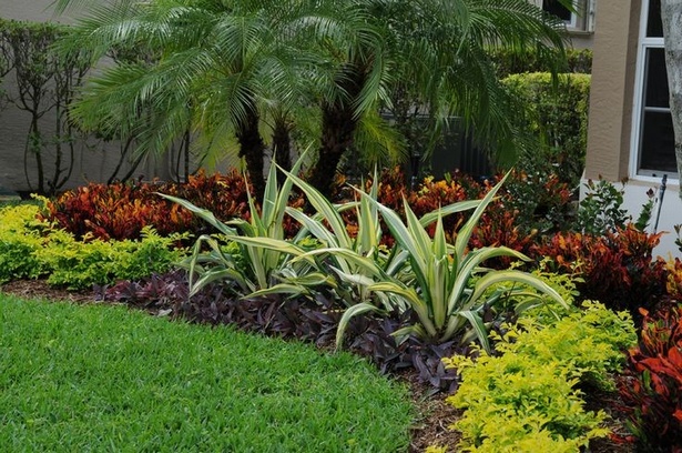 best-plants-for-landscaping-68_12 Най-добрите растения за озеленяване