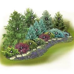 best-plants-for-landscaping-68_9 Най-добрите растения за озеленяване
