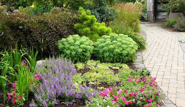 colorful-landscaping-plants-04_17 Цветни растения за озеленяване