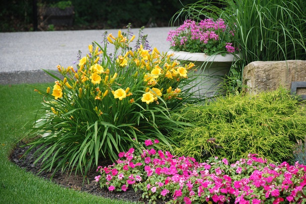 colorful-landscaping-plants-04_7 Цветни растения за озеленяване