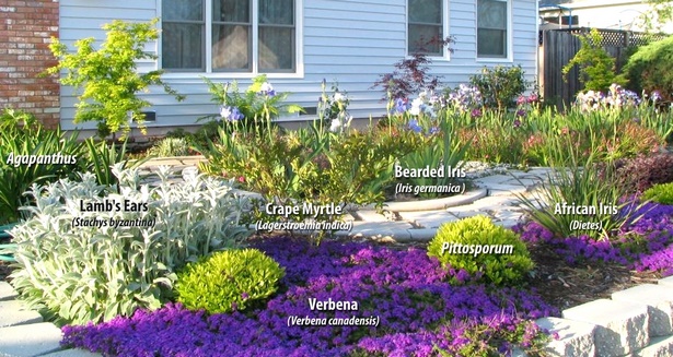 colorful-landscaping-plants-04_9 Цветни растения за озеленяване