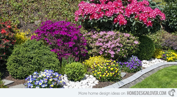 colorful-plants-for-landscaping-54 Цветни растения за озеленяване