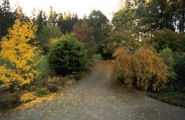 country-driveway-landscaping-ideas-10 Идеи за озеленяване на алеята