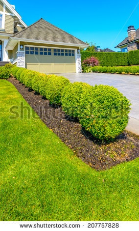 driveway-bushes-28_13 Алеята храсти