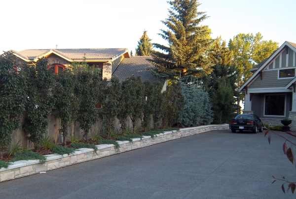 driveway-designs-for-small-spaces-12_8 Дизайн на алеи за малки пространства