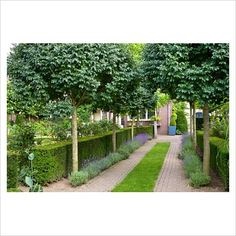 driveway-garden-01_7 Алея градина