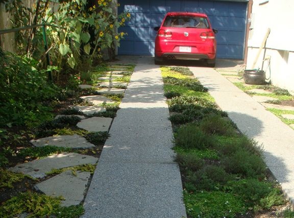 driveway-ground-cover-24_5 Пътно покритие на земята