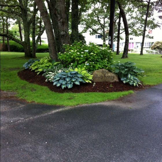 driveway-landscaping-plants-77_13 Алея озеленяване растения