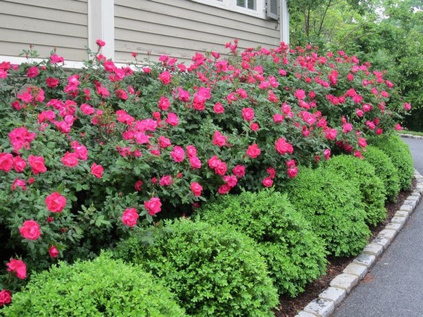 easy-landscaping-ideas-for-a-front-yard-23_10 Лесни идеи за озеленяване на предния двор