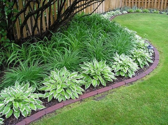 easy-landscaping-plants-20_2 Лесно озеленяване растения