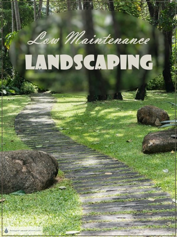 easy-maintenance-landscaping-09_10 Лесна поддръжка озеленяване