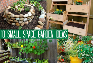 flower-garden-ideas-for-small-spaces-12 Идеи за цветна градина за малки пространства