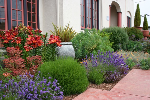 front-garden-plant-ideas-98_16 Идеи за градински растения