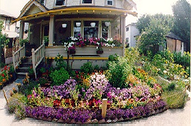 front-yard-flowers-26_6 Преден двор цветя
