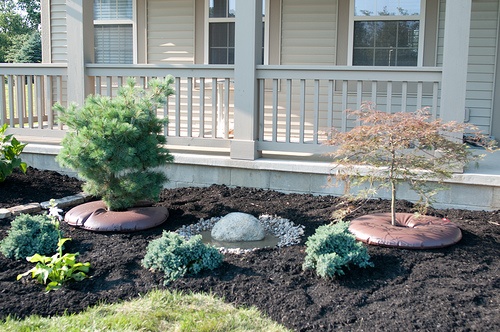 front-yard-low-maintenance-landscaping-75_14 Преден двор с ниска поддръжка озеленяване