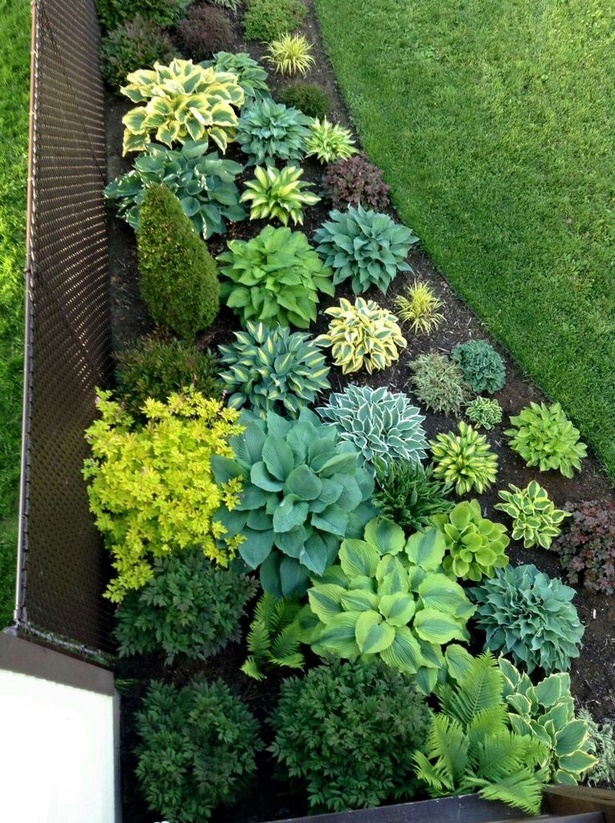Градински идеи за заден двор