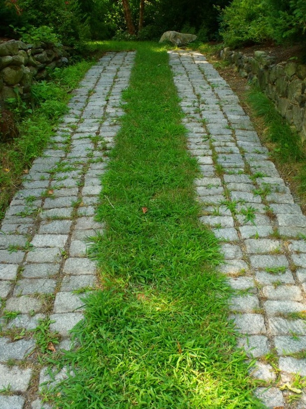 grass-driveway-ideas-19_17 Идеи за трева алея