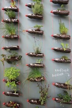 herb-garden-ideas-for-small-spaces-01_12 Билкова градина идеи за малки пространства