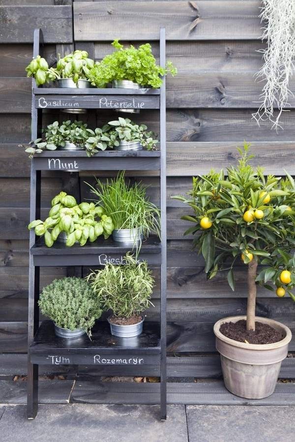 herb-garden-ideas-for-small-spaces-01_15 Билкова градина идеи за малки пространства