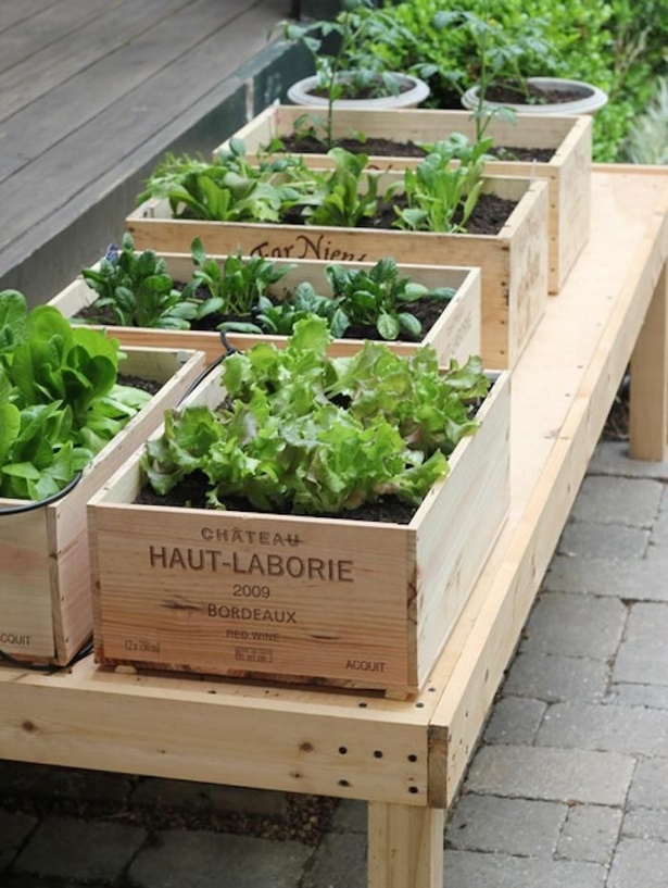 herb-garden-ideas-for-small-spaces-01_18 Билкова градина идеи за малки пространства