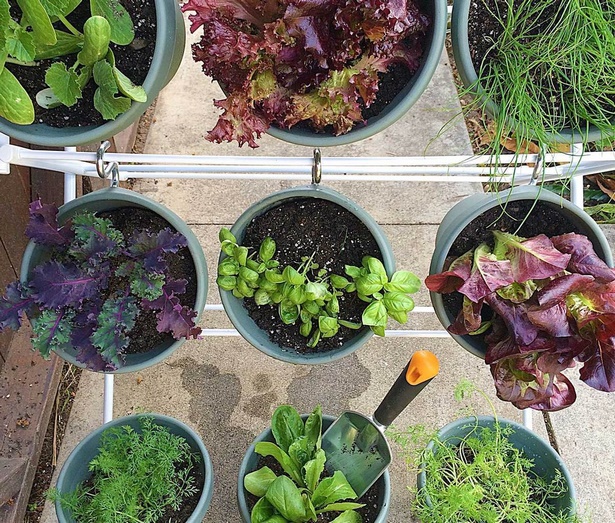 herb-garden-ideas-for-small-spaces-01_2 Билкова градина идеи за малки пространства