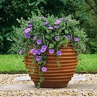 inexpensive-planter-ideas-32_9 Евтини идеи за плантатор
