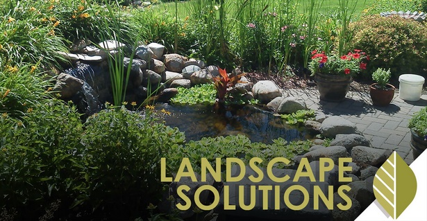 landscape-solutions-90_15 Ландшафтни решения