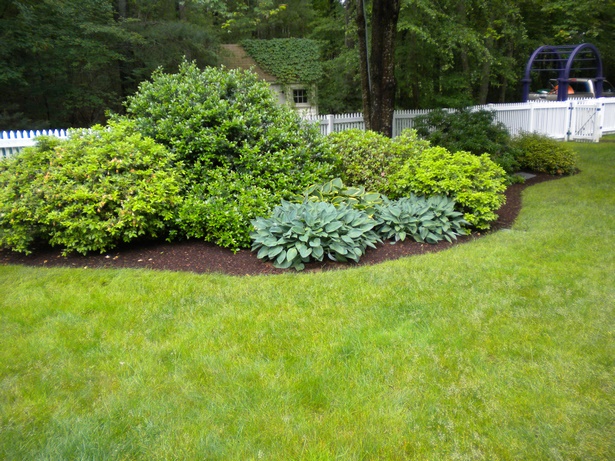 landscaping-ideas-bushes-52_16 Озеленяване идеи храсти