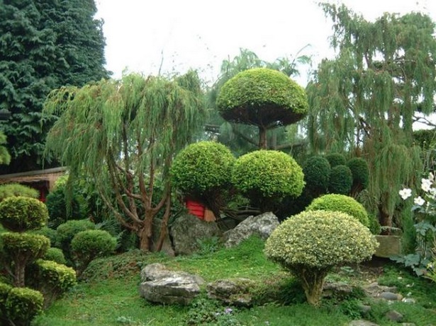 landscaping-ideas-bushes-52_8 Озеленяване идеи храсти