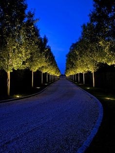 landscaping-ideas-driveway-lighting-62_20 Озеленяване идеи алеята осветление