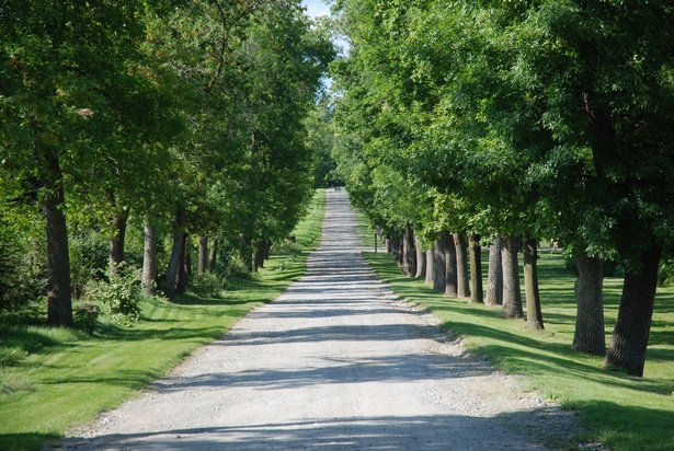 long-driveway-ideas-77_12 Идеи за Дълги алеи