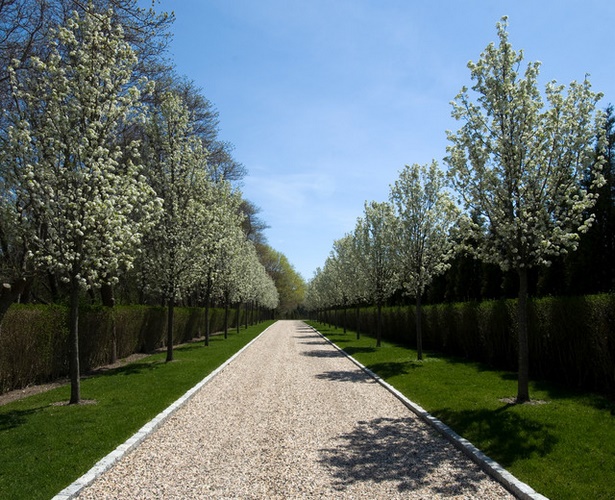 long-narrow-driveway-landscaping-ideas-76_6 Дълги тесни алеи за озеленяване идеи