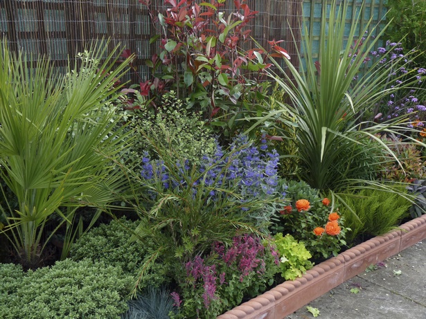 low-maintenance-front-garden-plants-77_11 Ниска поддръжка предни градински растения
