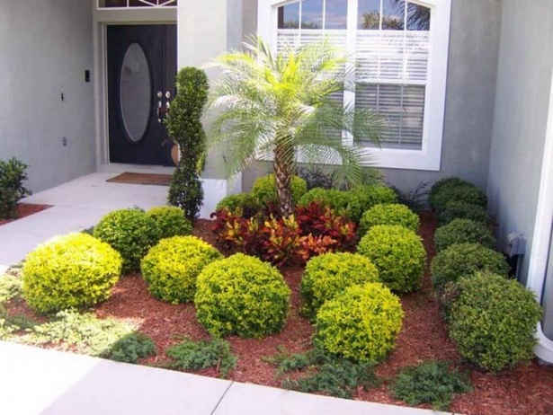 low-maintenance-front-yard-shrubs-94_15 Ниска поддръжка предния двор храсти
