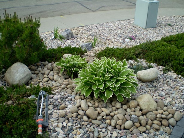 low-maintenance-front-yard-shrubs-94_4 Ниска поддръжка предния двор храсти