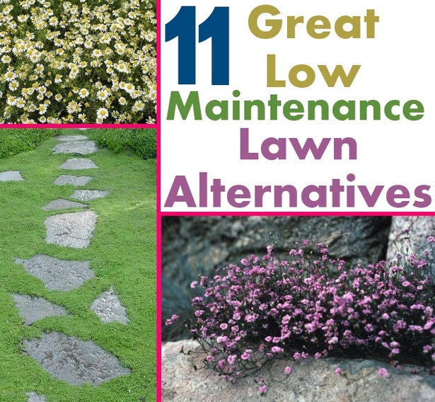 low-maintenance-lawn-56_14 Ниска поддръжка на тревата